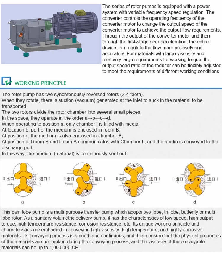 Cam Rotor Pump Head ZB3A Series