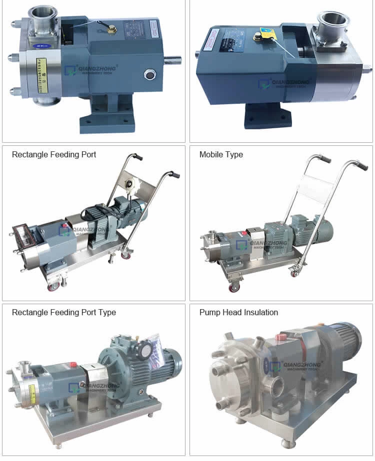 Cam Rotor Pump Head ZB3A Series