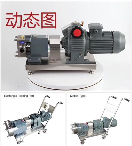 Cam Rotor Pump ZB3A Series - Qiangzhong