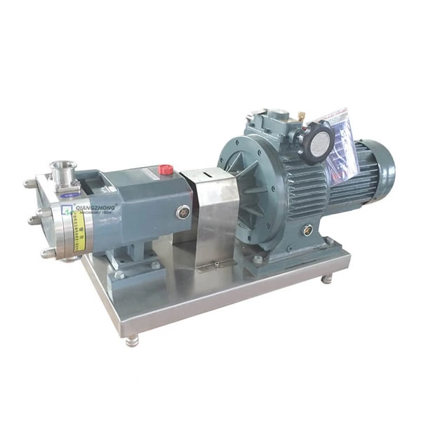 Rectangle Port Rotor Pump