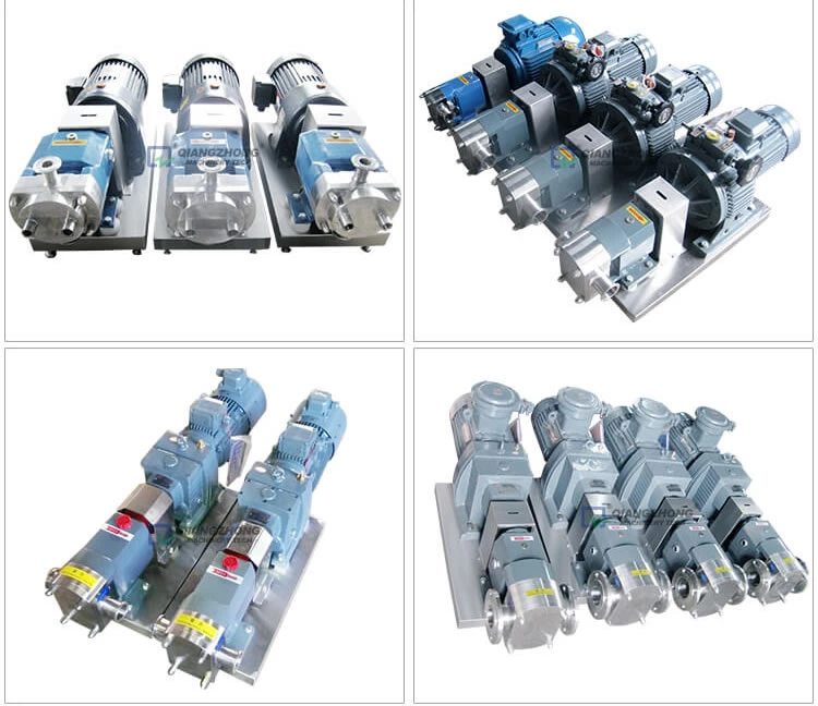 Rectangle Port Rotor Pump