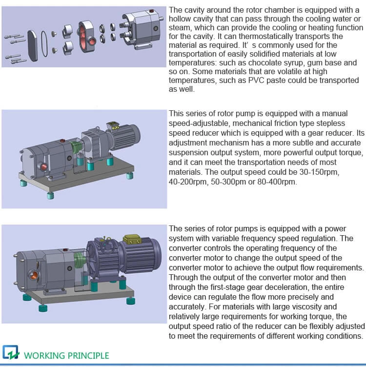 Rectangle Port Rotor Pump