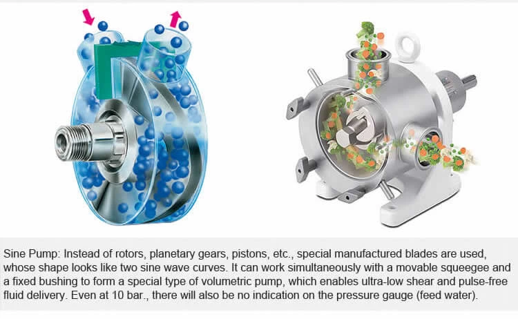 Sanitary Sine Pump