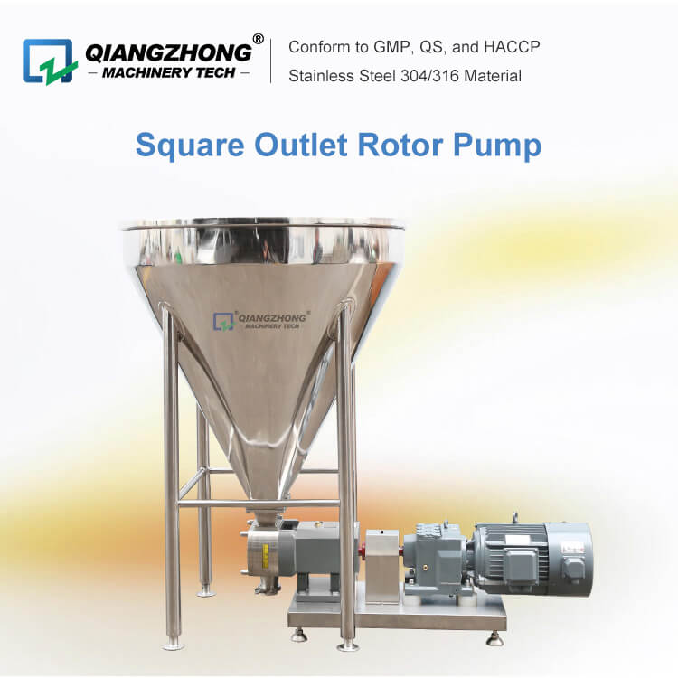 Square Outlet Rotor Pump