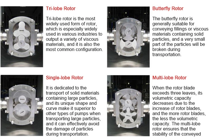 Square Outlet Rotor Pump
